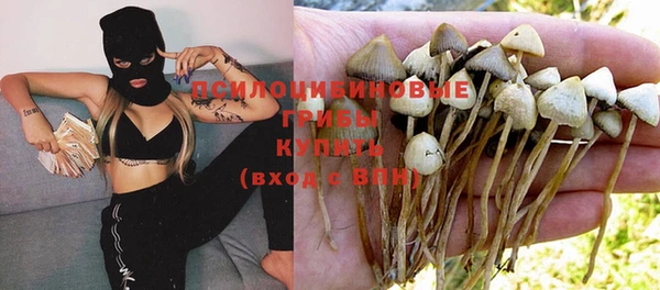 2c-b Балахна